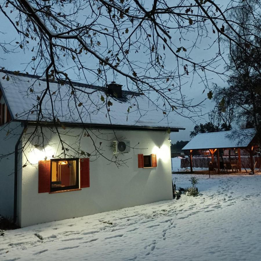 Villa Smocze Ranczo 2 à Ośno Lubuskie Extérieur photo