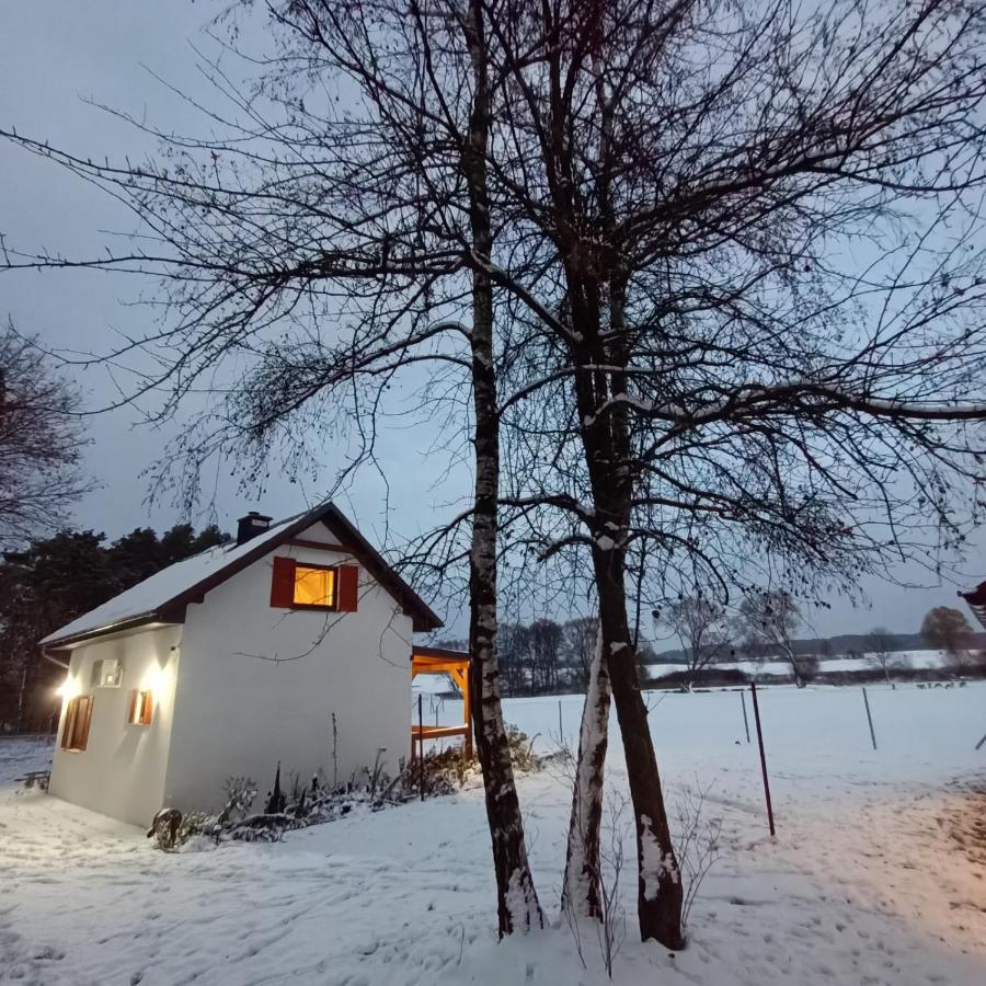 Villa Smocze Ranczo 2 à Ośno Lubuskie Extérieur photo